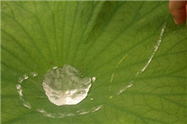 長(zhǎng)效超疏水防油污金屬AF防指紋油